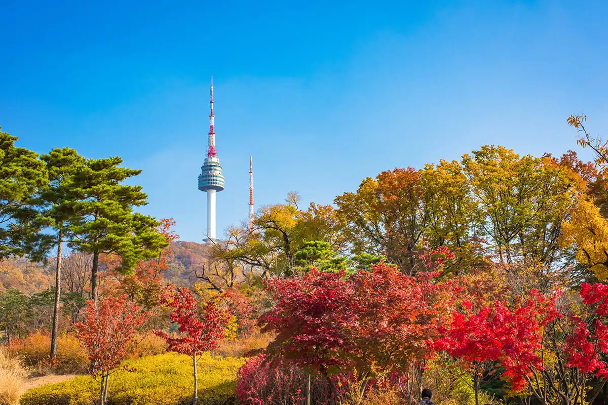 Namsan Seoul Tower (Seoul)